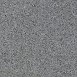 Parkway Grey 300x300 Matt (R10)